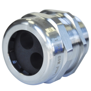 蓝盛 二孔不锈钢电缆接头IP68外螺纹防水密封格兰头304多孔葛兰头