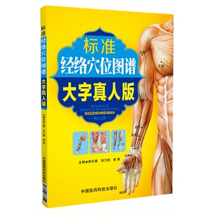 标准人体经络穴位图谱大字超高清真人版大图册全彩图解人体全身穴位针灸艾灸推拿刮痧按摩养生快速取定穴位一找就准腧穴位速查手册