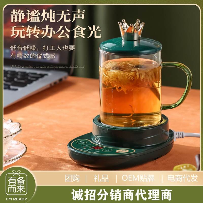 煮粥可调温加热水杯烧水养生电热水壶旅行电水壶保温便携式烧