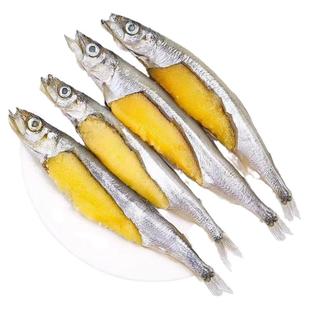 多春鱼满籽新鲜人吃鱼籽冷冻海鲜水产鲜活超特大海鱼烧烤食材商用