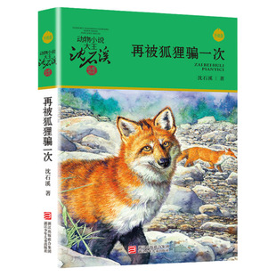 沈石溪动物小说升级版共6册 沈石溪品藏书籍系 后一头战象/第七条猎狗/再被狐狸骗一次/和乌鸦做邻居/一只猎雕的遭遇/保姆蟒