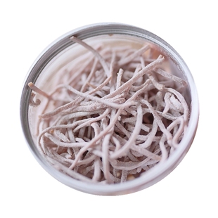 老饶家◆青梅丝 酸甜好吃 孕妇零食 办公室解馋零食童年 55g/罐