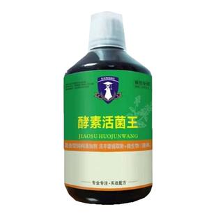 戈博士酵素活菌王500ml赛鸽子鸟肠道调理保健活菌液水绿稀便鸽药