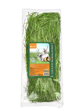 jolly提摩西嫩草兔子荷兰猪提草