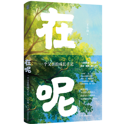 在呢一个父亲的成长手记