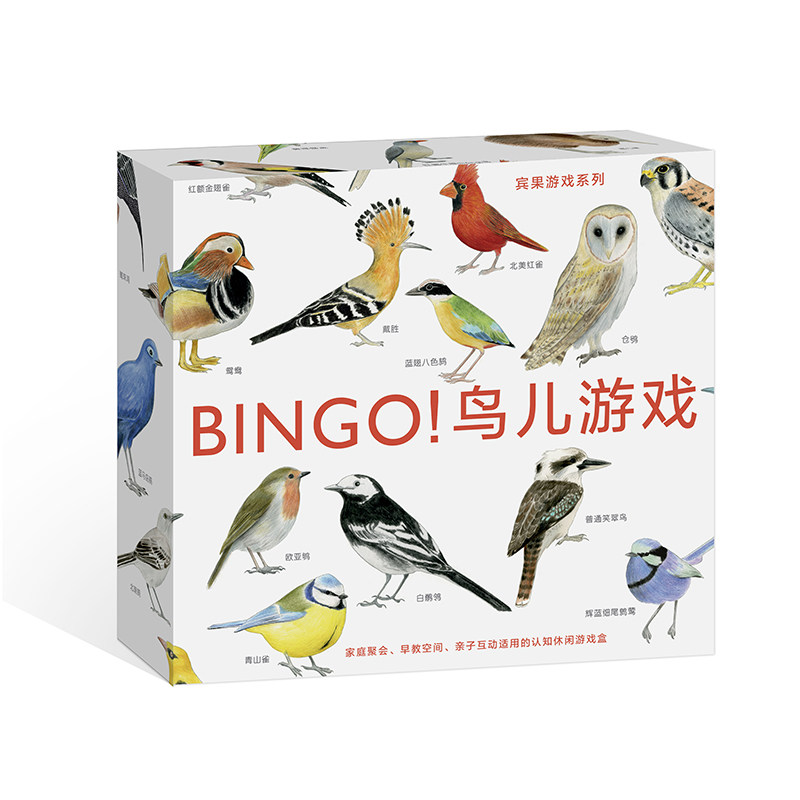 后浪正版 宾果系列 BINGO鸟儿游戏 3至6岁儿童读物益智启蒙 互动智力开发 探索与发现书籍