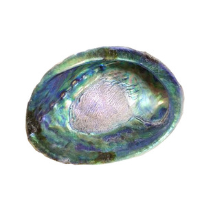 白鼠尾草燃烧贝壳器皿 黑火鸡羽毛红木支架 新房水晶冥想家庭烟熏