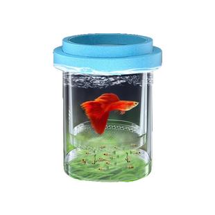 鱼缸隔离盒孵化盒孔雀鱼凤尾繁殖盒小鱼幼鱼鱼苗缸外非亚克力产房