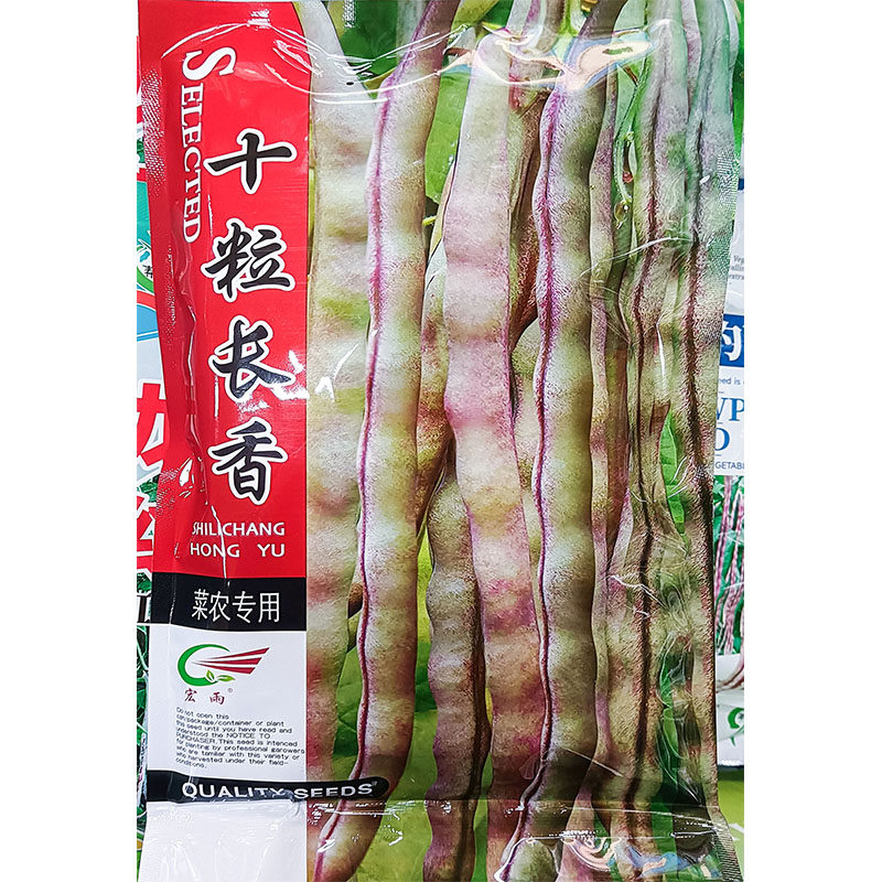 十粒长香200g紫色四季无筋豆蔬菜种子孑籽架豆芸豆刀豆芸扁豆菜豆