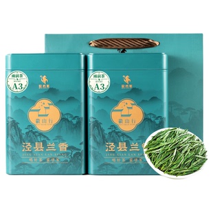 霍将军泾县兰香A3A4罐装2025正宗新茶安徽汀溪茶叶兰香绿茶叶500g