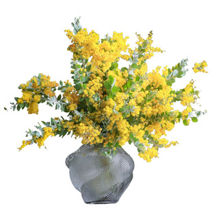 金合欢鲜花金黄鲜切花水养插花办公室上海顺丰包邮可干花圣诞节花
