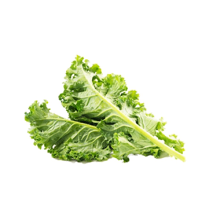东方甄选绿色羽衣甘蓝新鲜采摘当季时令蔬菜沙拉青菜凉拌榨汁西餐