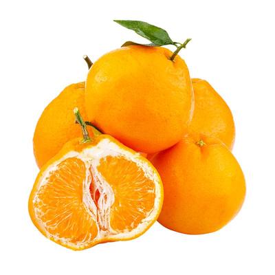 【官方甄选】春见耙耙柑5A品质