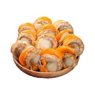 扇贝肉新鲜冷冻特级大号带黄带膏商用海鲜水产红贝批发黄蚬子鲜活