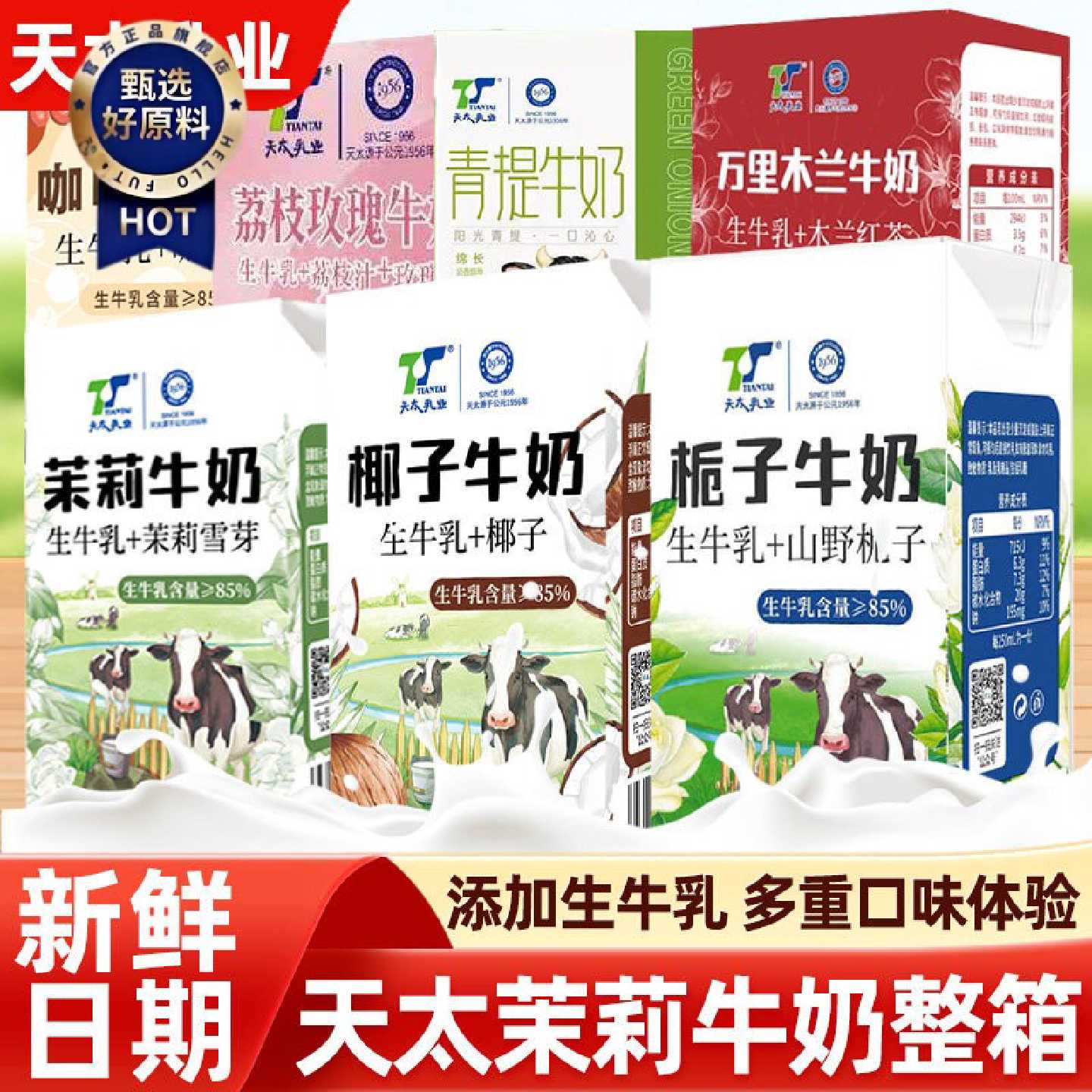 天太茉莉牛奶咖啡椰子栀子木兰红茶糯米香绿茶多口味风味早餐奶