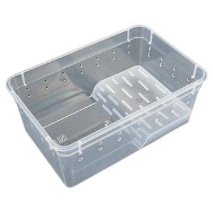 爬宠饲养盒乌龟蛋孵化盒蜘蛛守宫蜥蜴角蛙小号透明塑料盒冬眠盒子