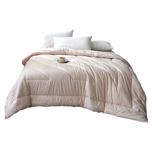 筑巢鸟暖绒蚕宝冬被优质短丝蚕丝天然新疆棉加厚柔软贴身被芯冬被