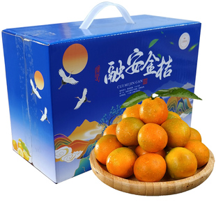 正宗广西柳州融安脆蜜金桔第三代金柑当季时令精品高端应季新鲜