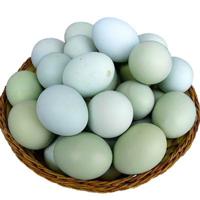 卢氏鸡绿壳蛋农家散养