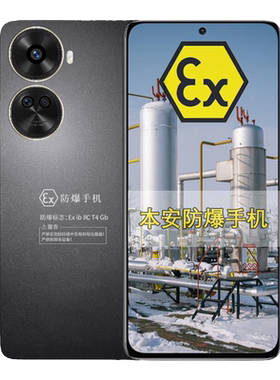 nova11SE定制防爆手机