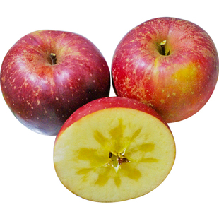 现摘云南昭通红露丑苹果正宗冰糖心脆苹果新鲜水果红富士当季整箱
