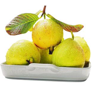 广西白心奶油芭乐冰淇淋口感番石榴白心芭乐应季新鲜水果清甜老树