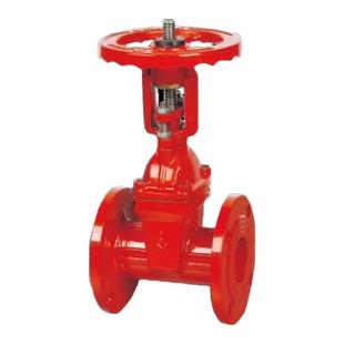 埃美柯弹性座闸阀Z41X-16Q铸铁法兰明杆座封软密封闸阀DN50 65100