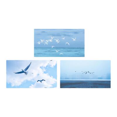 「自由的飞鸟」明信片一只邮递员