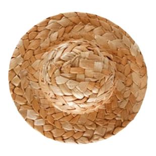 儿童小草帽麦秆娃娃婴儿玩具公仔玩偶宠物仙人掌斗笠diy装饰帽子