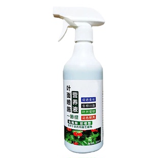 罗汉松专用肥罗汉松叶枯病叶子发黄叶黄松树枯黄迎客松专用营养液