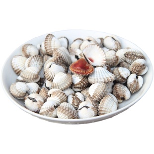 现挖现发血蛤蜊 新鲜雪蛤正宗血蚶冲洗干净发货可生腌制3斤装