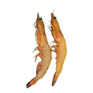 烟台青岛特产长岛高端现捕冷冻发货活虾鲜甜新鲜食材鲜活海虾500g