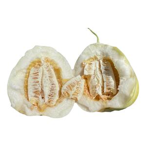 顺丰冷链！黑龙江甜香瓜头茬直发