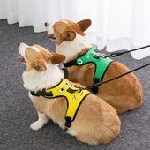 狗狗胸背带牵引绳狗胸背带可爱背心式 外出柯基遛狗小型防爆项圈
