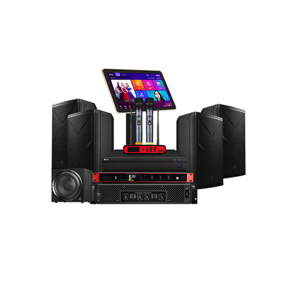 Hivi/惠威家庭KTV音响套装家用