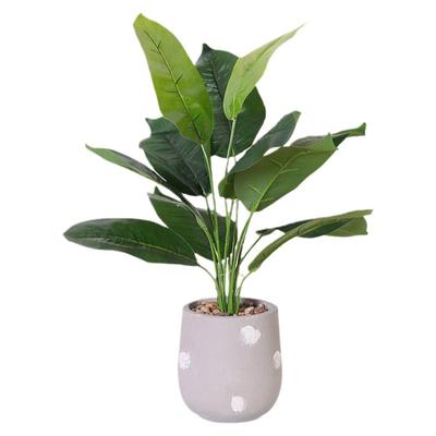 仿真绿植物小盆栽桌面客厅摆件