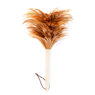 居家清扫缝隙羽毛真鸡毛逗猫棒不掉毛加密除尘扫床神器掸子静电