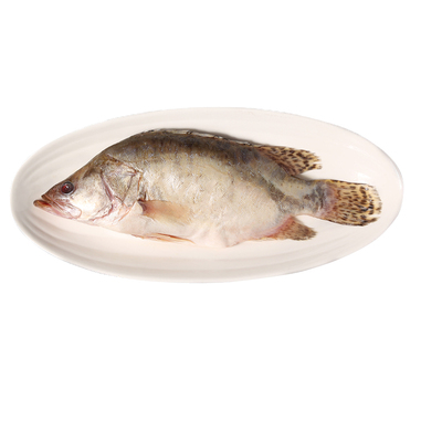 臭鳜鱼3条正宗特产真空装净膛