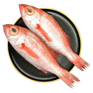 舟山深海大红果鲤黑喉鱼新鲜冷冻喉黑鱼赤陆鱼金吉鱼冷冻海鲜水产