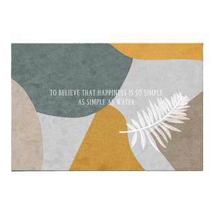 2024高级感入户进门地垫家用门垫可擦免洗PVC厨房脚垫耐脏一抹净