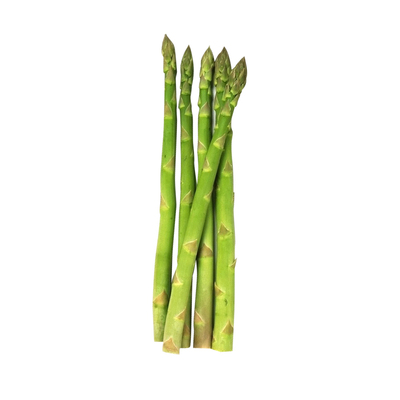 四季芦笋根苗种一次吃十年包成活