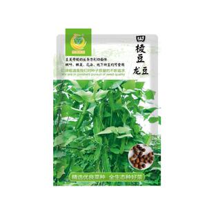 四棱豆蔬菜种孑龙豆香草种籽海南四角豆菜籽阳台盆栽农家蔬菜种子