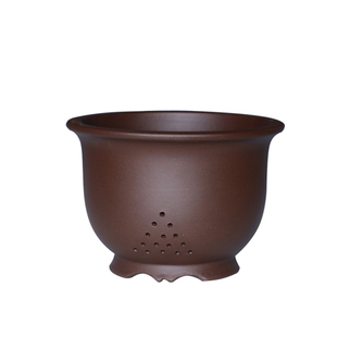 金钟紫砂花盆陶瓷特大精品轻奢君子兰蝴蝶兰精致高端兰花专用盆