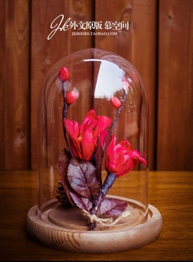 欧式现代简约复古仿旧书卷玻璃罩实木底书房书柜橱窗装饰摆件包邮