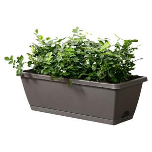 长方形花盆新款种菜神器家庭阳台塑料壁挂长条特价清仓霍伦盆养花