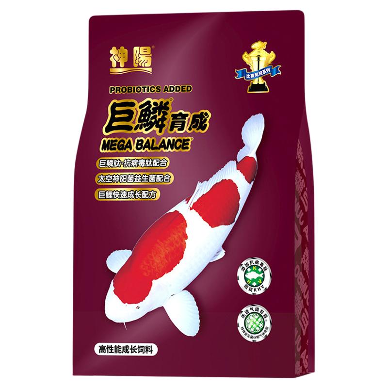 神阳巨鳞锦鲤比赛级育成饲料