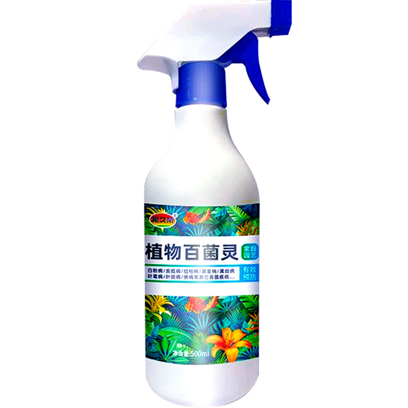 月季花病虫害常用药叶子发黄黑斑白粉病菌清杀虫剂玫瑰花叶康灵