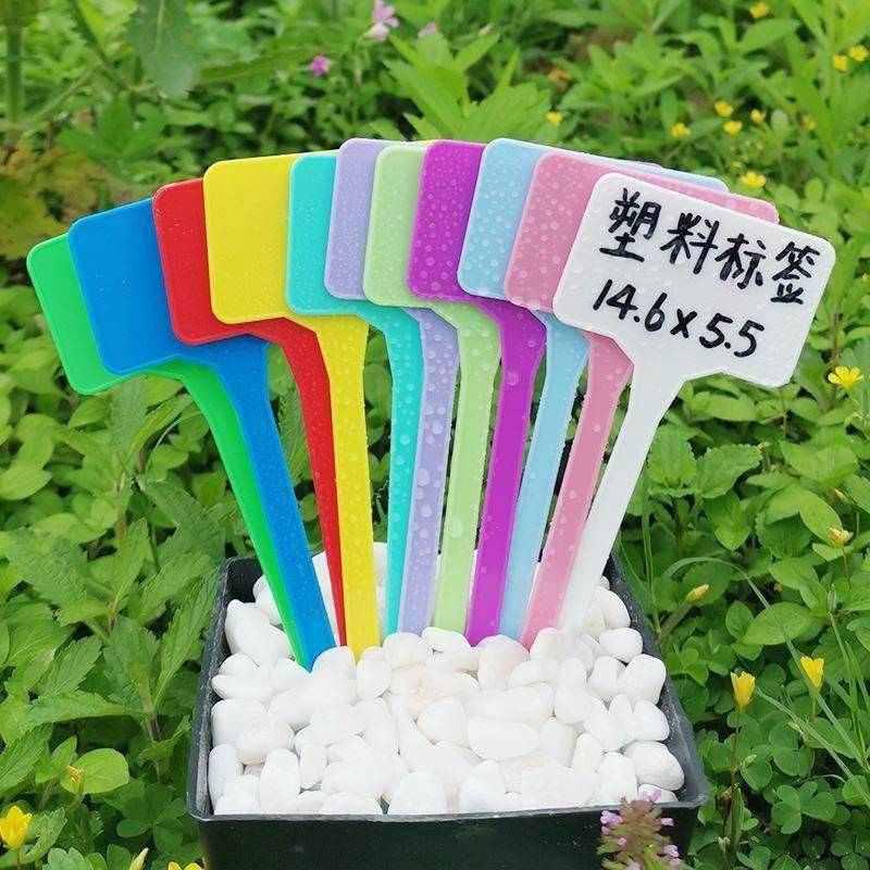 盆栽插牌绿植花卉牌园艺标签防水标识牌加厚彩色5代塑料书写牌