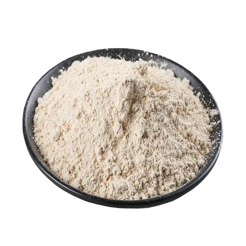 山东金乡大蒜粉做黑胡椒酱调料牛排调料200g纯蒜粉烧烤腌肉烘培
