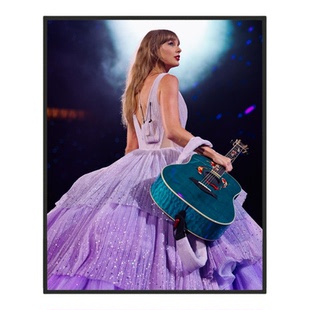 泰勒.斯威夫特霉霉Taylor Swift专辑封面海报装饰画合金边框挂画